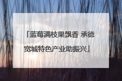 蓝莓满枝果飘香 承德宽城特色产业助振兴