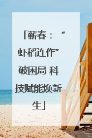 蕲春：“虾稻连作”破困局 科技赋能焕新生