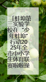 蚌埠第三实验学校在“少年蚌埠”行动2025年全市中小学生体育联赛啦啦操比赛中获佳绩