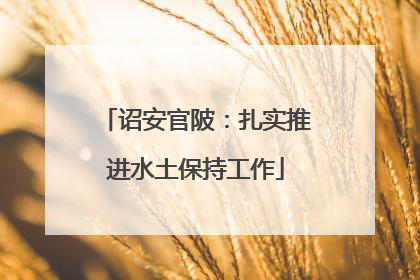 诏安官陂：扎实推进水土保持工作