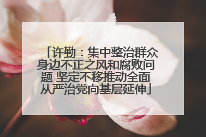 许勤：集中整治群众身边不正之风和腐败问题 坚定不移推动全面从严治党向基层延伸