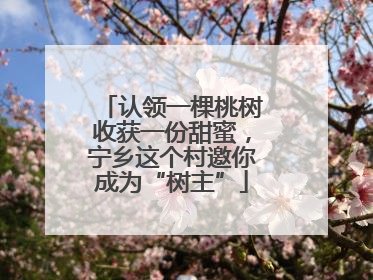 认领一棵桃树收获一份甜蜜，宁乡这个村邀你成为“树主”