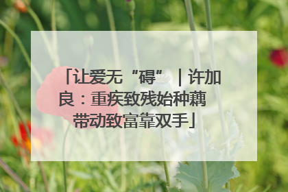 让爱无“碍”｜许加良：重疾致残始种藕 带动致富靠双手