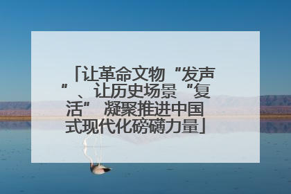让革命文物“发声”、让历史场景“复活” 凝聚推进中国式现代化磅礴力量