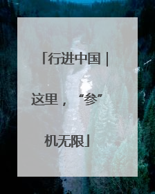 行进中国｜这里，“参”机无限