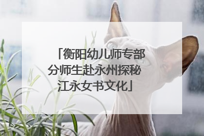 衡阳幼儿师专部分师生赴永州探秘江永女书文化