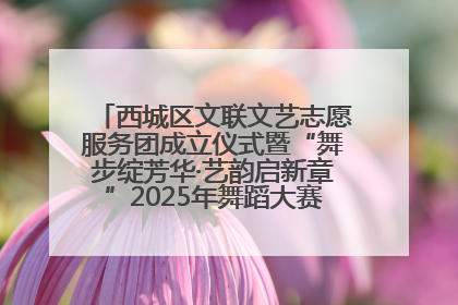 西城区文联文艺志愿服务团成立仪式暨“舞步绽芳华·艺韵启新章”2025年舞蹈大赛展演圆满举办