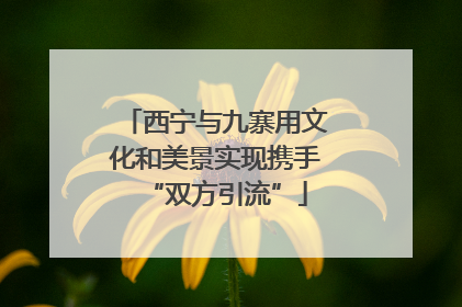 西宁与九寨用文化和美景实现携手“双方引流”