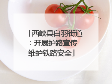 西峡县白羽街道：开展护路宣传 维护铁路安全