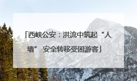 西峡公安：洪流中筑起“人墙” 安全转移受困游客