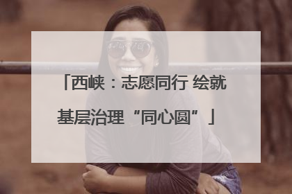 西峡：志愿同行 绘就基层治理“同心圆”