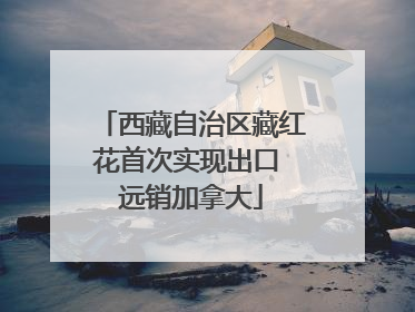 西藏自治区藏红花首次实现出口 远销加拿大