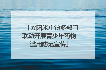 襄阳米庄镇多部门联动开展青少年药物滥用防范宣传