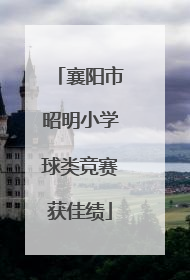 襄阳市昭明小学球类竞赛获佳绩