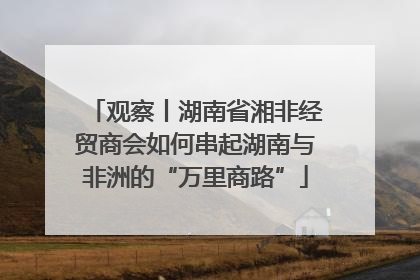观察丨湖南省湘非经贸商会如何串起湖南与非洲的“万里商路”