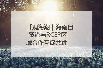观海潮｜海南自贸港与RCEP区域合作互促共进