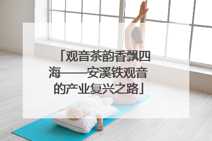 观音茶韵香飘四海——安溪铁观音的产业复兴之路