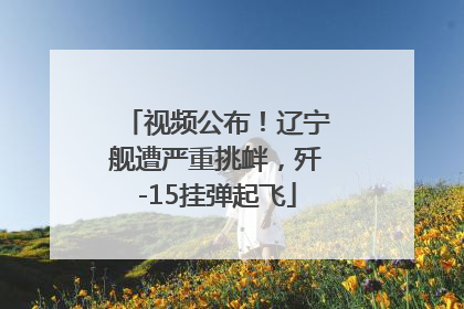 视频公布！辽宁舰遭严重挑衅，歼-15挂弹起飞
