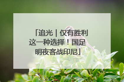 追光｜仅有胜利这一种选择！国足明夜客战印尼