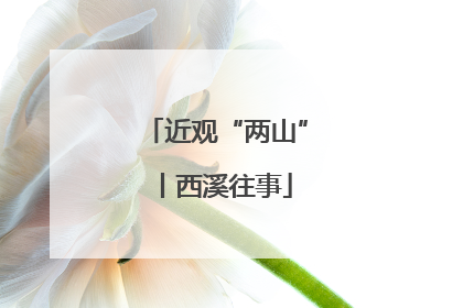 近观“两山”丨西溪往事