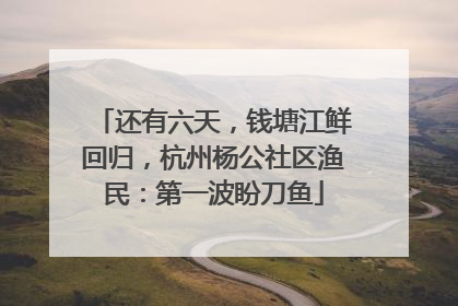 还有六天，钱塘江鲜回归，杭州杨公社区渔民：第一波盼刀鱼