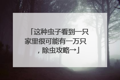 这种虫子看到一只家里很可能有一万只，除虫攻略→