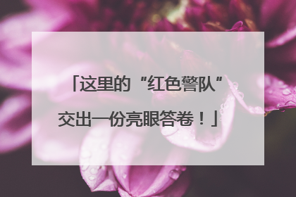 这里的“红色警队”交出一份亮眼答卷！