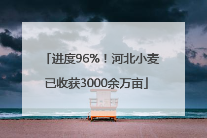 进度96%！河北小麦已收获3000余万亩