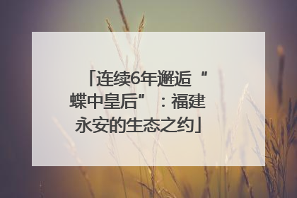 连续6年邂逅“蝶中皇后”：福建永安的生态之约