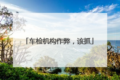 车检机构作弊，该抓