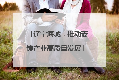 辽宁海城：推动菱镁产业高质量发展