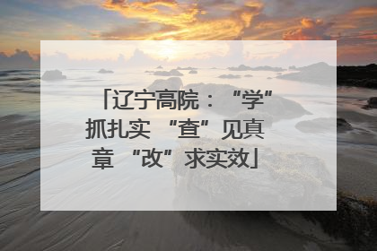 辽宁高院：“学”抓扎实 “查”见真章 “改”求实效