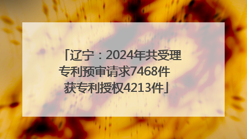 辽宁：2024年共受理专利预审请求7468件 获专利授权4213件