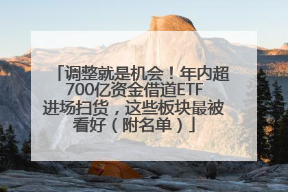 调整就是机会！年内超700亿资金借道ETF进场扫货，这些板块最被看好（附名单）