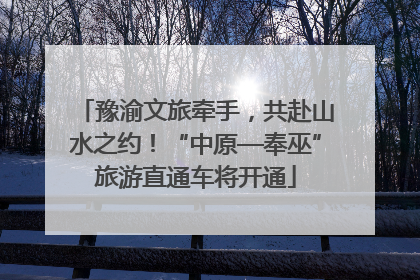 豫渝文旅牵手，共赴山水之约！“中原—奉巫”旅游直通车将开通