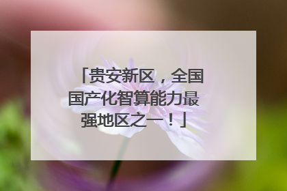 贵安新区，全国国产化智算能力最强地区之一！