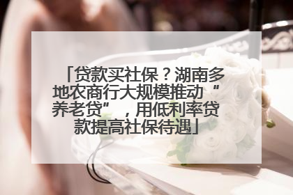 贷款买社保？湖南多地农商行大规模推动“养老贷”，用低利率贷款提高社保待遇