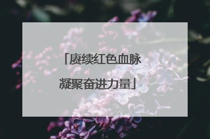 赓续红色血脉 凝聚奋进力量