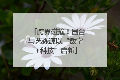 跨界碰撞！国台与艺森源以“数字+科技”启新