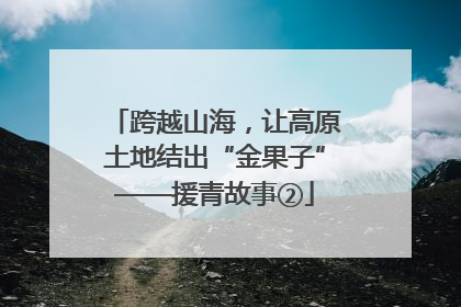 跨越山海，让高原土地结出“金果子”——援青故事②