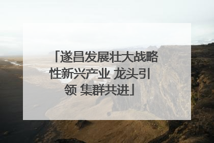 遂昌发展壮大战略性新兴产业 龙头引领 集群共进