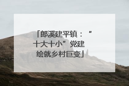 郎溪建平镇：“十大十小”党建 绘就乡村巨变