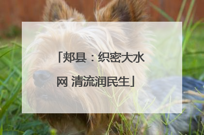 郏县：织密大水网 清流润民生