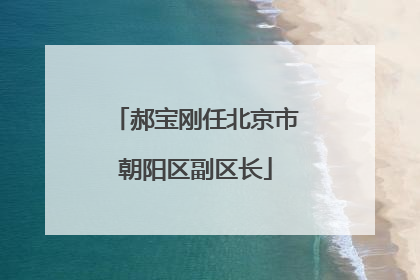 郝宝刚任北京市朝阳区副区长