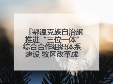 鄂温克族自治旗推进“三位一体”综合合作组织体系建设 牧区改革成果丰硕