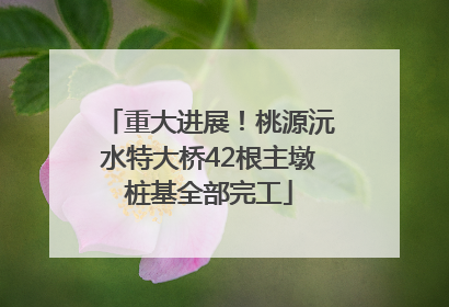 重大进展！桃源沅水特大桥42根主墩桩基全部完工