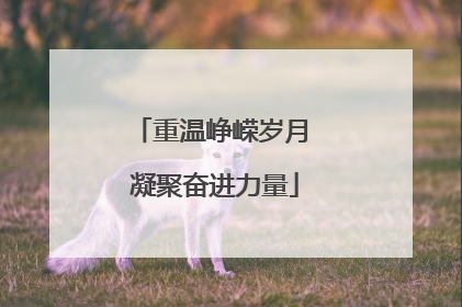 重温峥嵘岁月 凝聚奋进力量