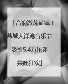 音浪激荡盐城！盐城大洋湾音乐节吸引5.4万乐迷共赴狂欢