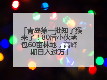 青岛第一批知了猴来了！80后小伙承包60亩林地，高峰期日入过万