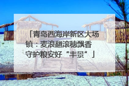 青岛西海岸新区大场镇：麦浪翻滚穗飘香 守护粮安好“丰景”